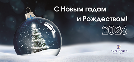 С Новым 2026 годом и Рождеством!