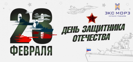Поздравляем с Днём защитника Отечества!